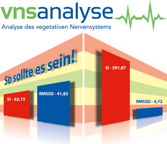 VNS Analysegrafik